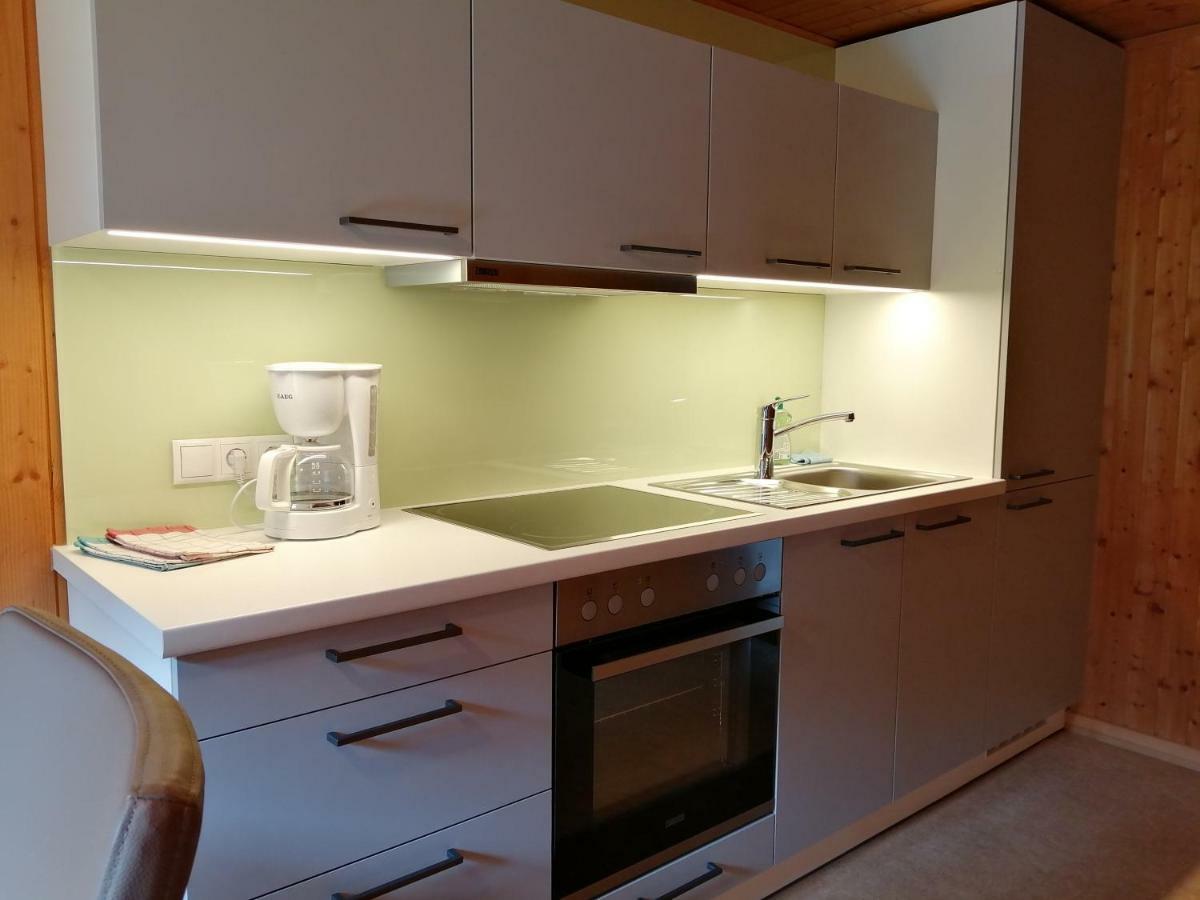 Apartament Haus Silke Silbertal Zewnętrze zdjęcie